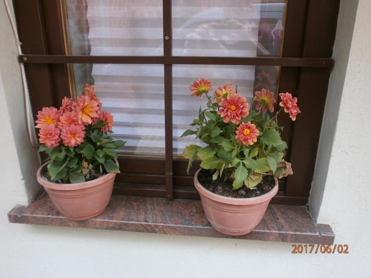 Apartments With A Parking Space Samobor, Prigorje - 12869 Екстериор снимка